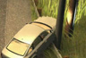 Vehicle Fatality