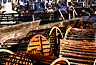 Crab traps and boats