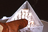 Frozen cell samples for research