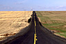 Harvested wheat fields, Pullman, WA