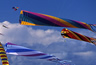 Kite Festival, Long Beach, WA