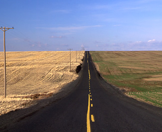 Harvested wheat fields