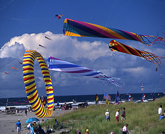 Kite Festival