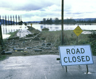 Environmental Documentation